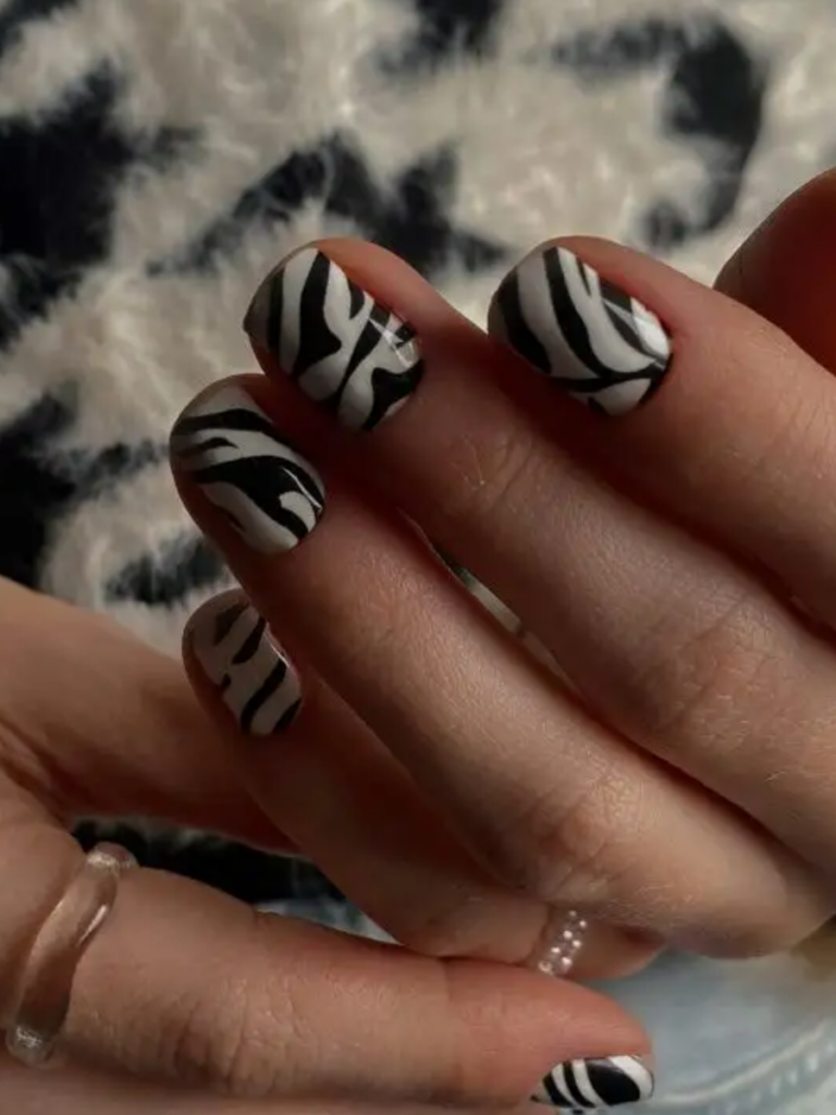 zebra manik
