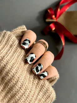 snow leo mani