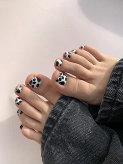snow leo piodi
