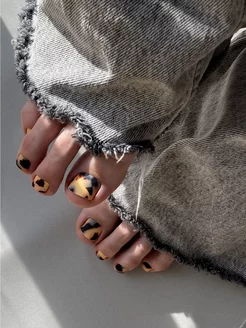 tortoise pedi